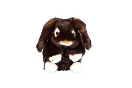 Hase klein 